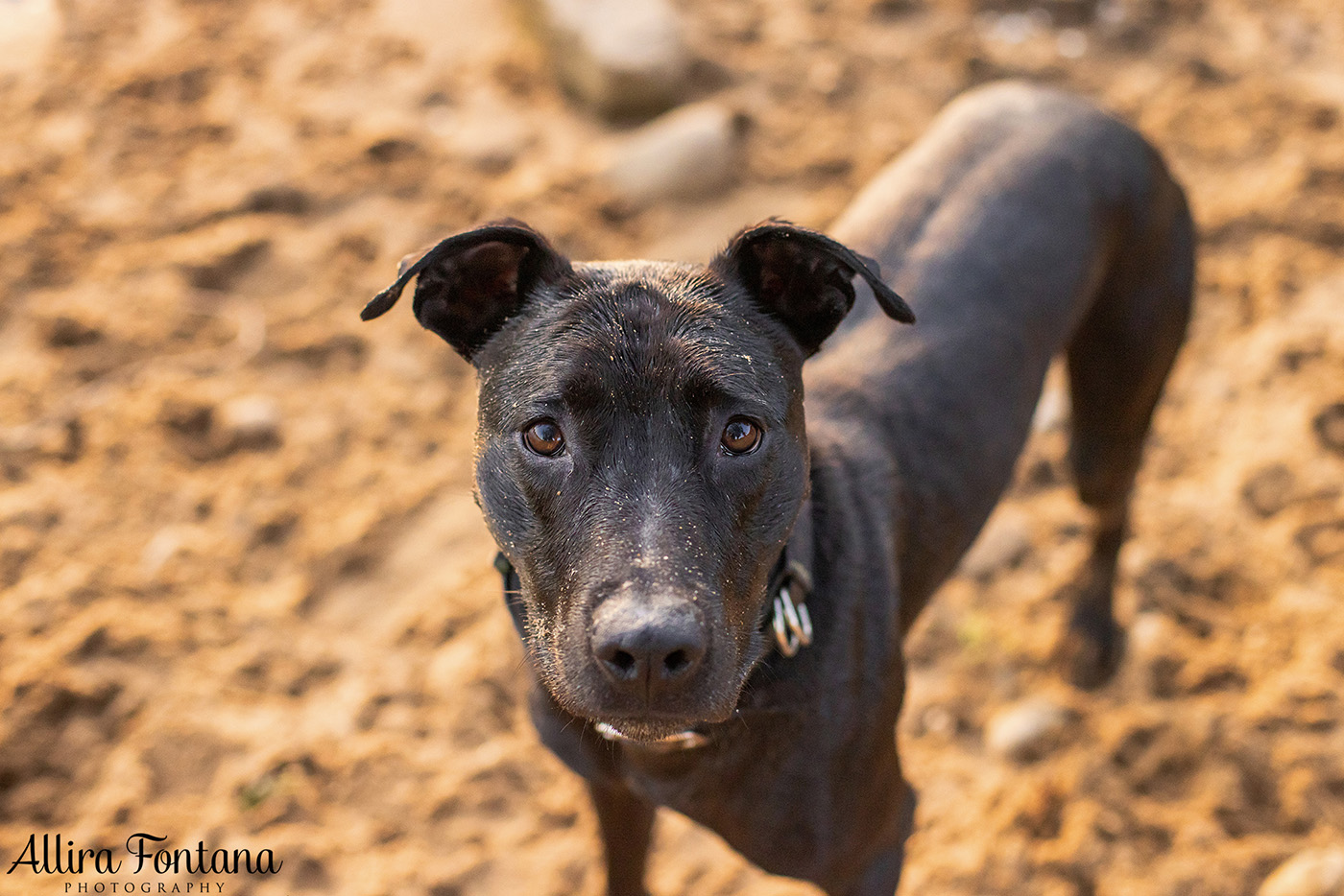 Jedda, Sam, Stevie and Kip's photo session on the river 