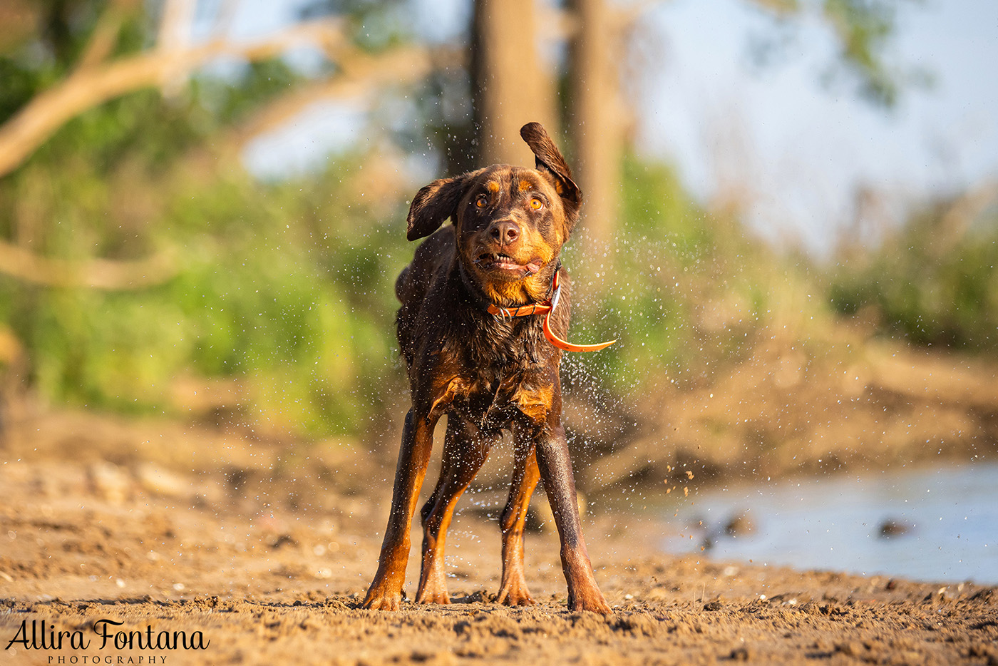 Jedda, Sam, Stevie and Kip's photo session on the river 