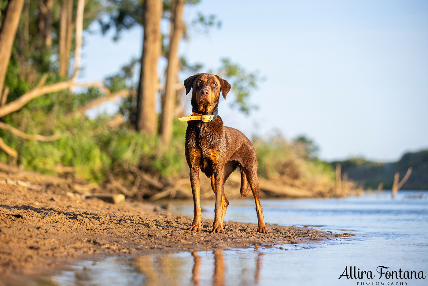 Jedda, Sam, Stevie and Kip's photo session on the river 