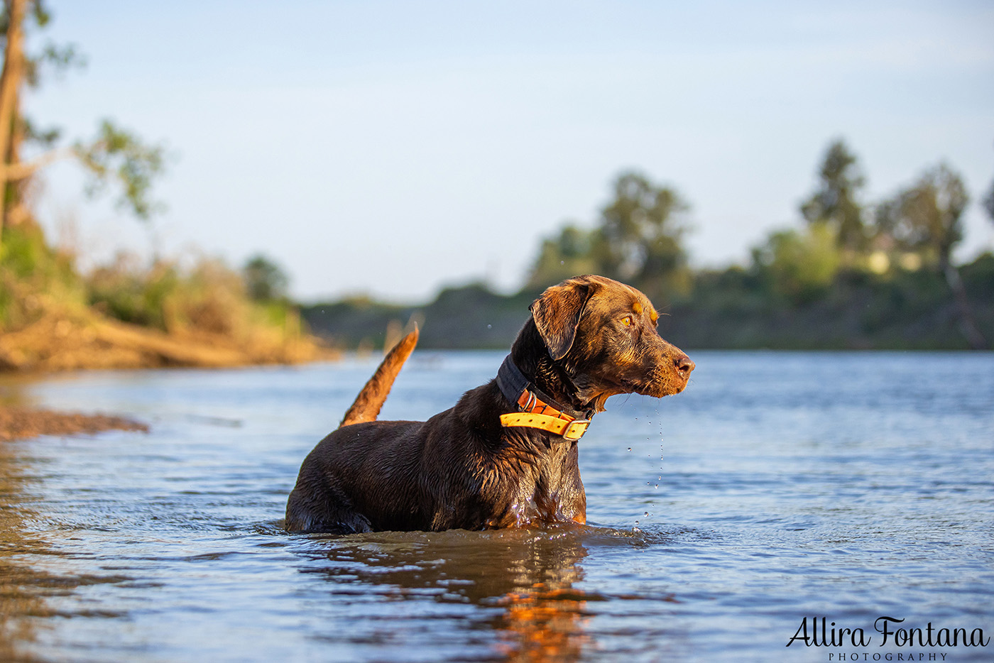 Jedda, Sam, Stevie and Kip's photo session on the river 