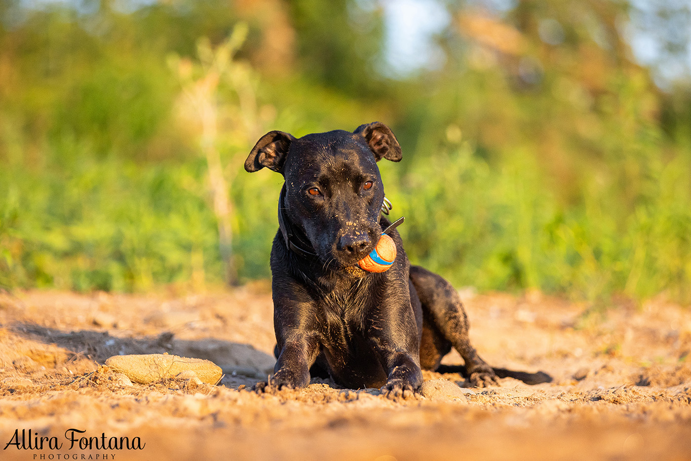 Jedda, Sam, Stevie and Kip's photo session on the river 