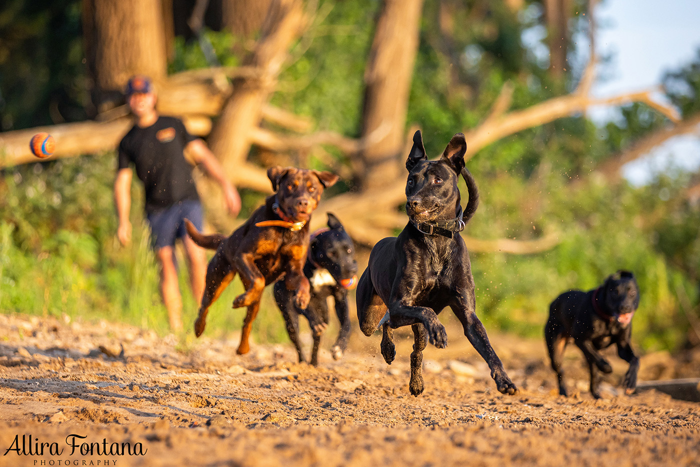 Jedda, Sam, Stevie and Kip's photo session on the river 