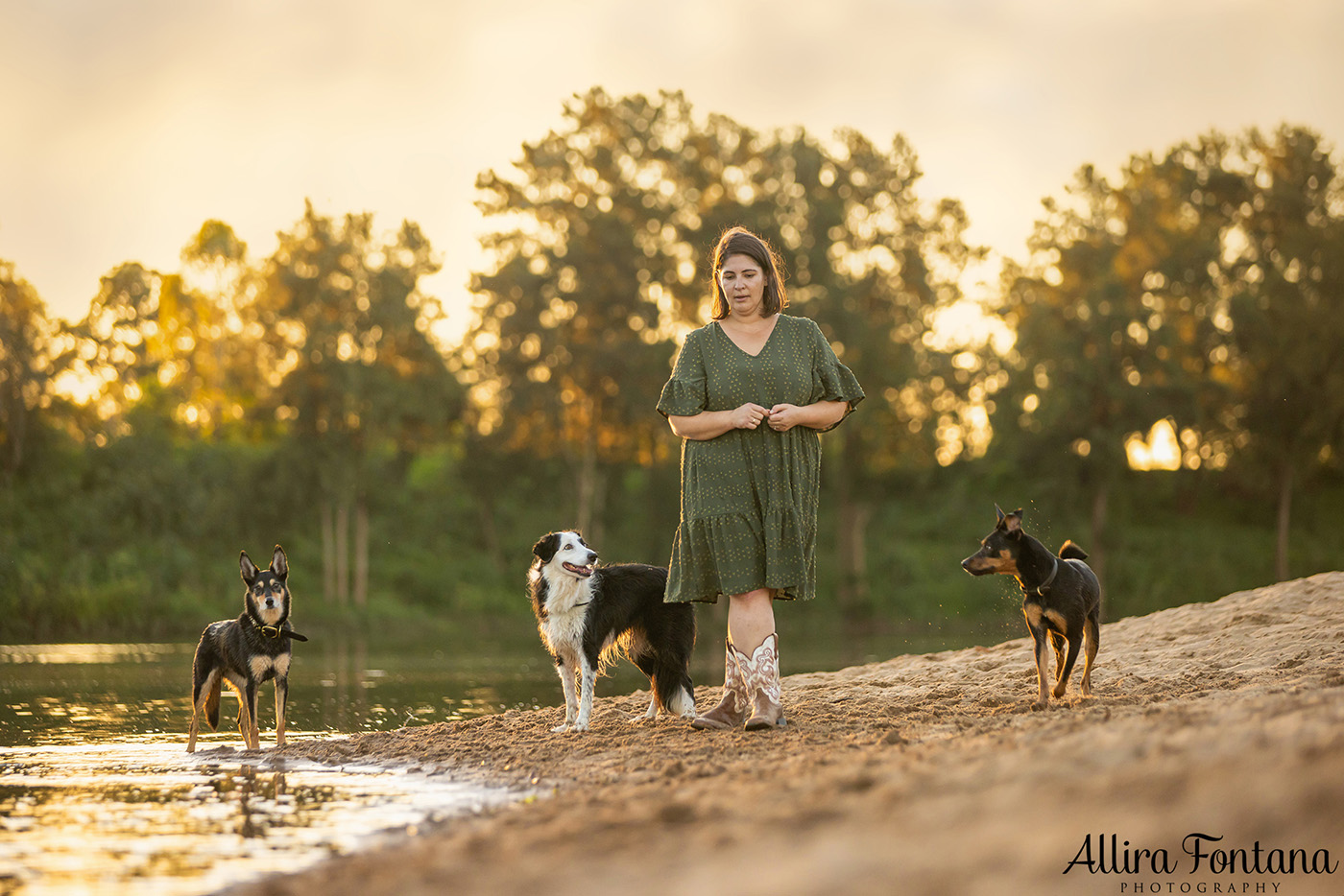 Sonic, Blondie and Sandy's photo session from Macquarie Park 