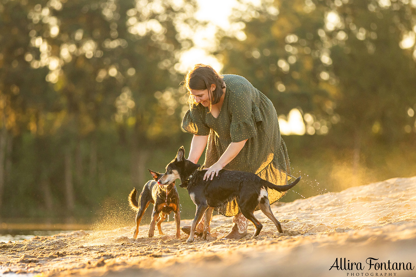 Sonic, Blondie and Sandy's photo session from Macquarie Park 