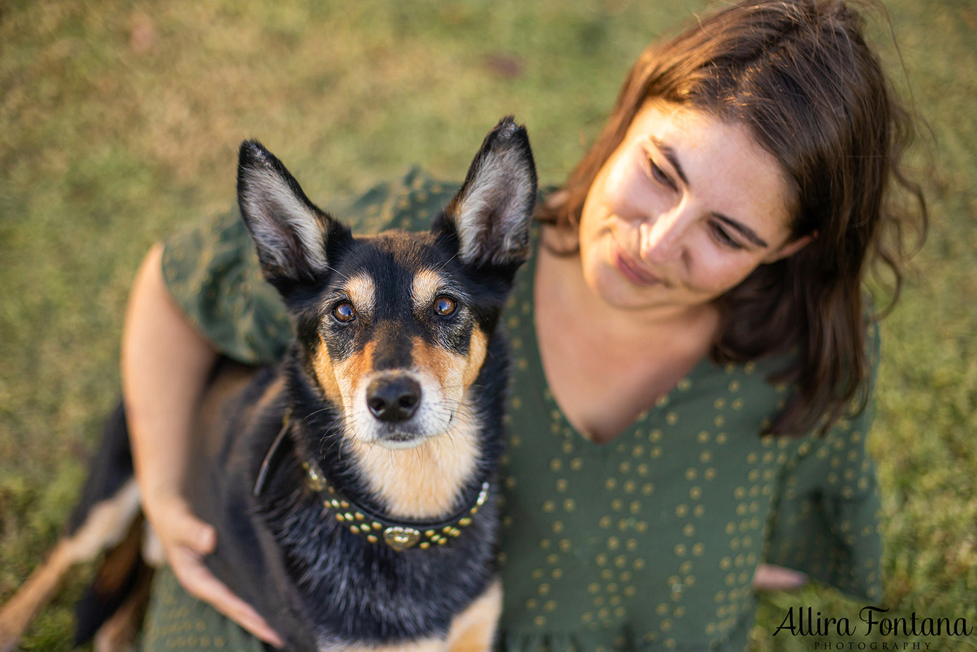 Sonic, Blondie and Sandy's photo session from Macquarie Park 