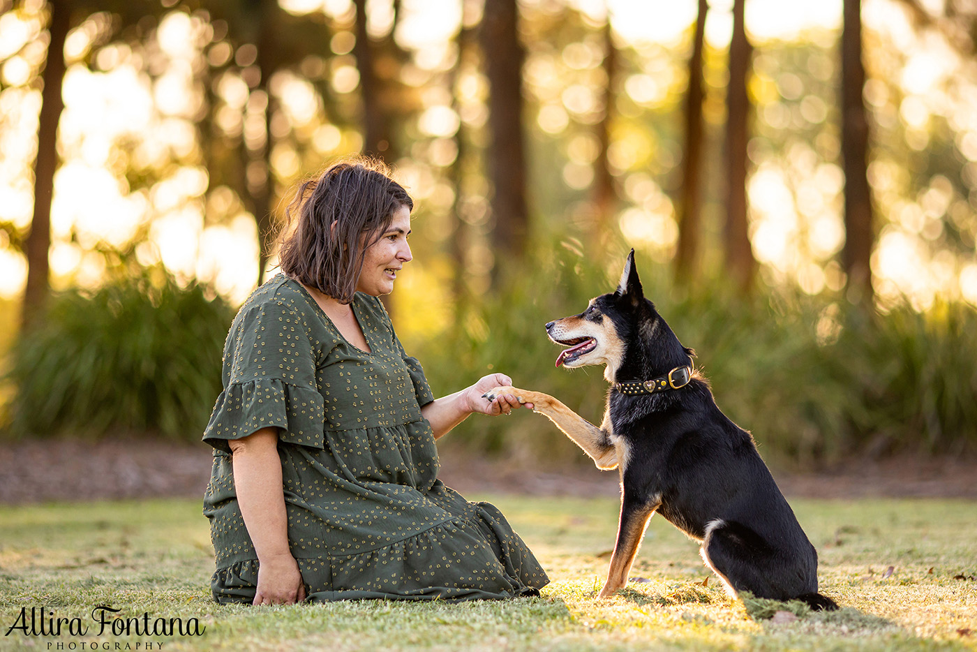 Sonic, Blondie and Sandy's photo session from Macquarie Park 