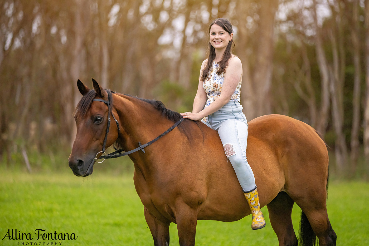 Remembering Hoss - photo session at home 