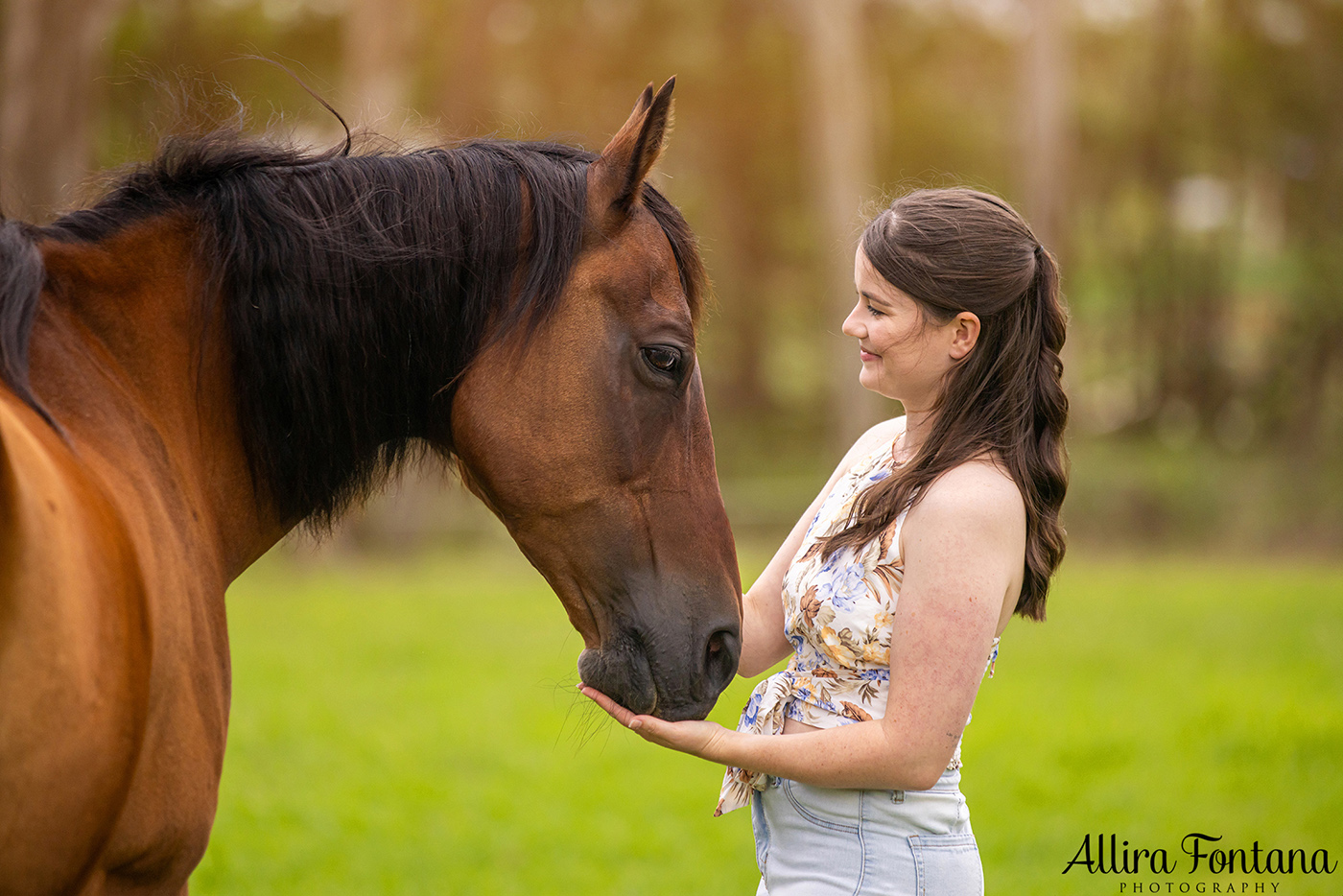 Remembering Hoss - photo session at home 