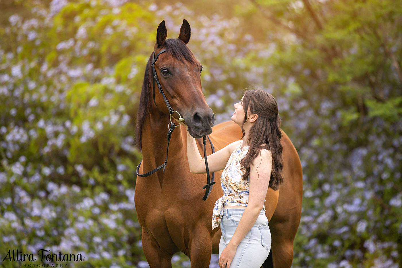 Remembering Hoss - photo session at home 