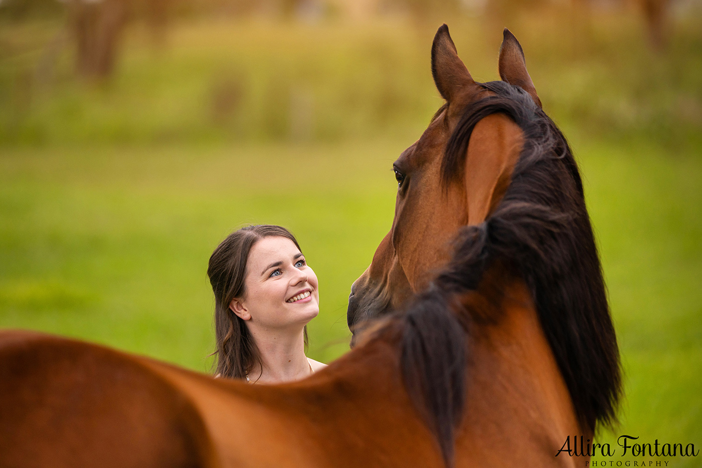 Remembering Hoss - photo session at home 