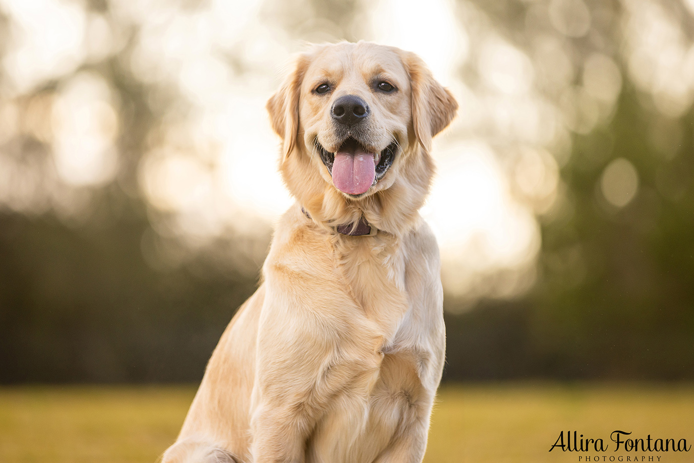 Caesar and Cali's photo session in Oakdale 