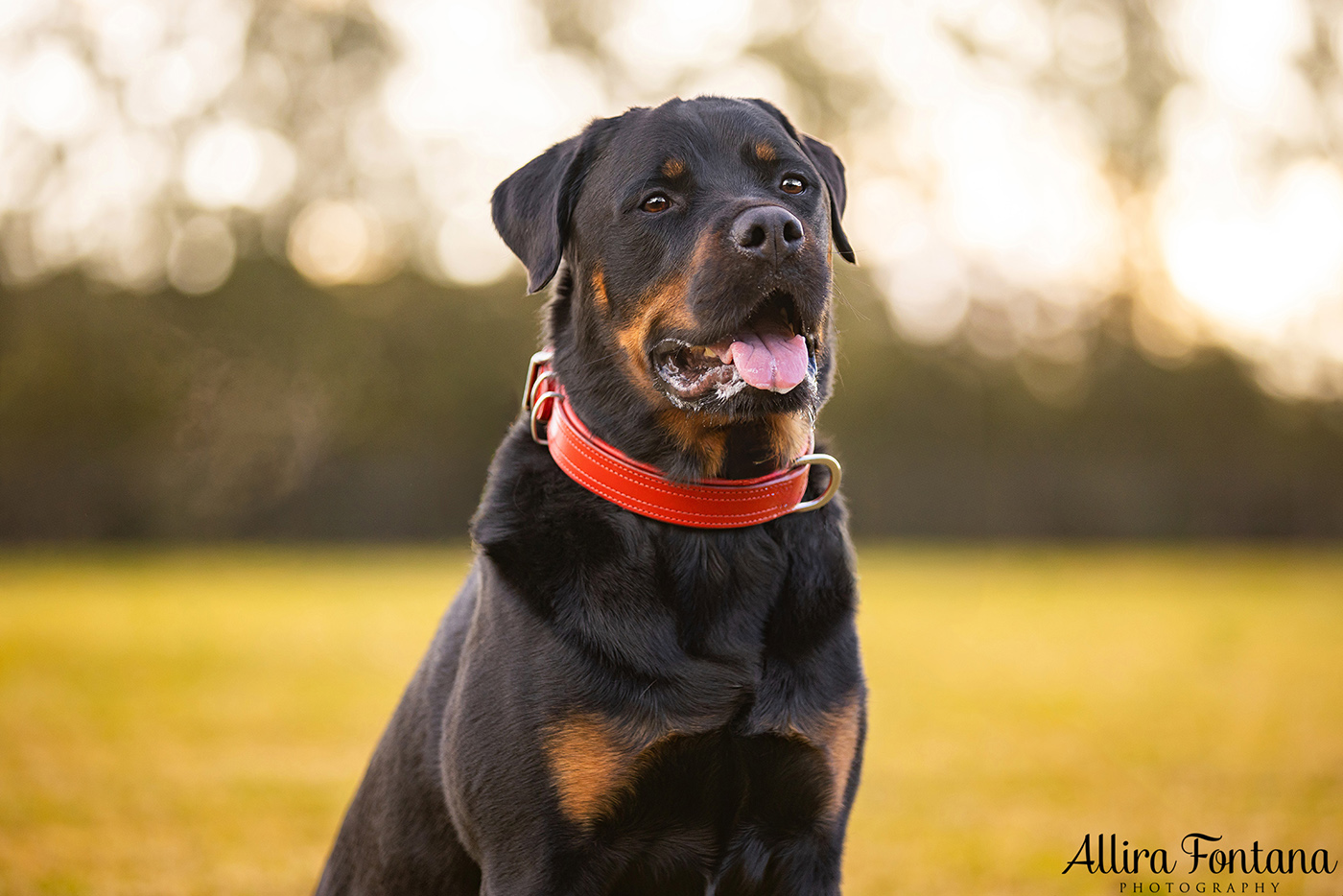 Caesar and Cali's photo session in Oakdale 