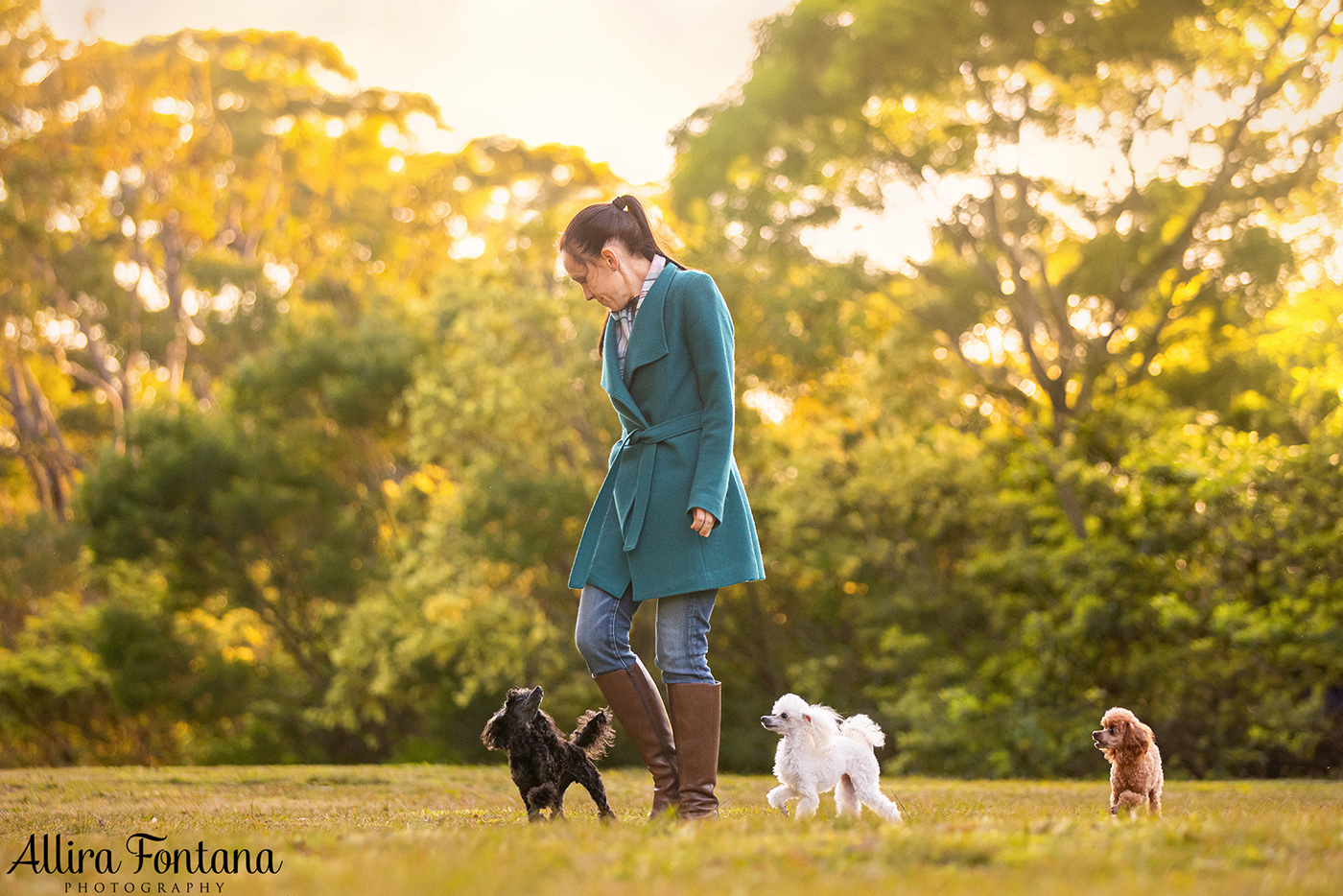 Lacie, Cricket and Pixie's photo session at Fagan Park 