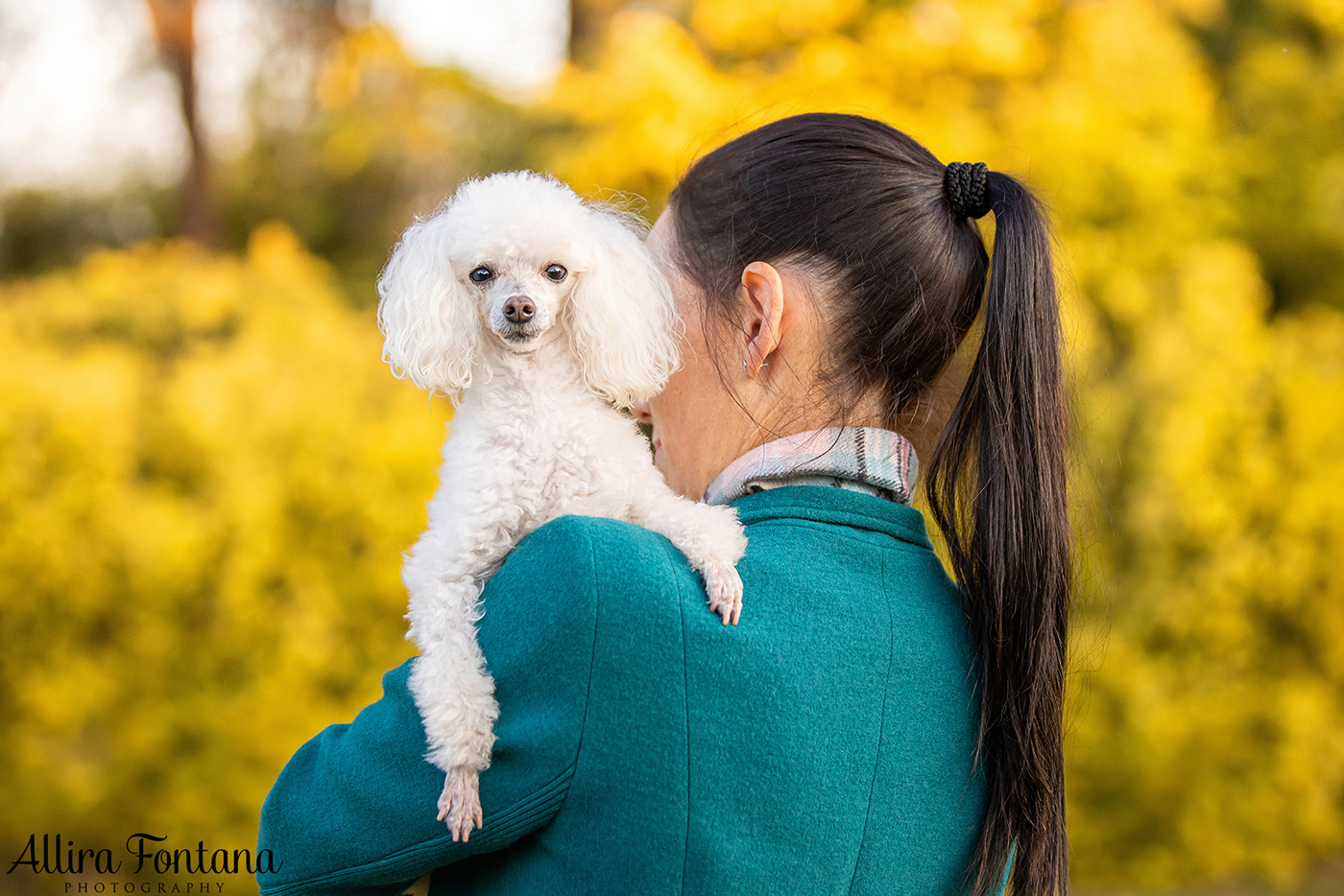 Lacie, Cricket and Pixie's photo session at Fagan Park 