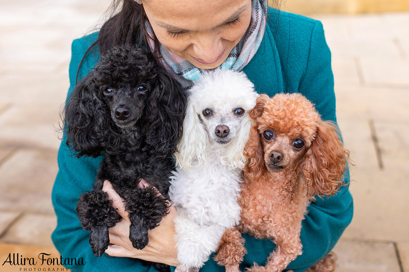 Lacie, Cricket and Pixie's photo session at Fagan Park 