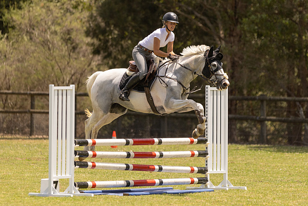 GEC Show Jumping Competition November 2024