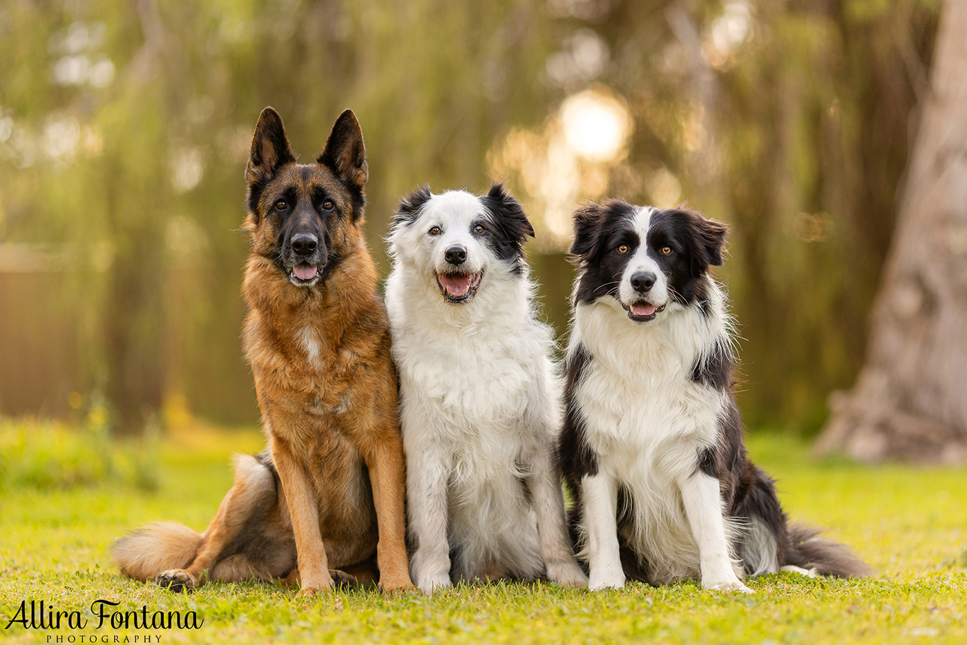 Zac, Bella and Harry's photo session at home