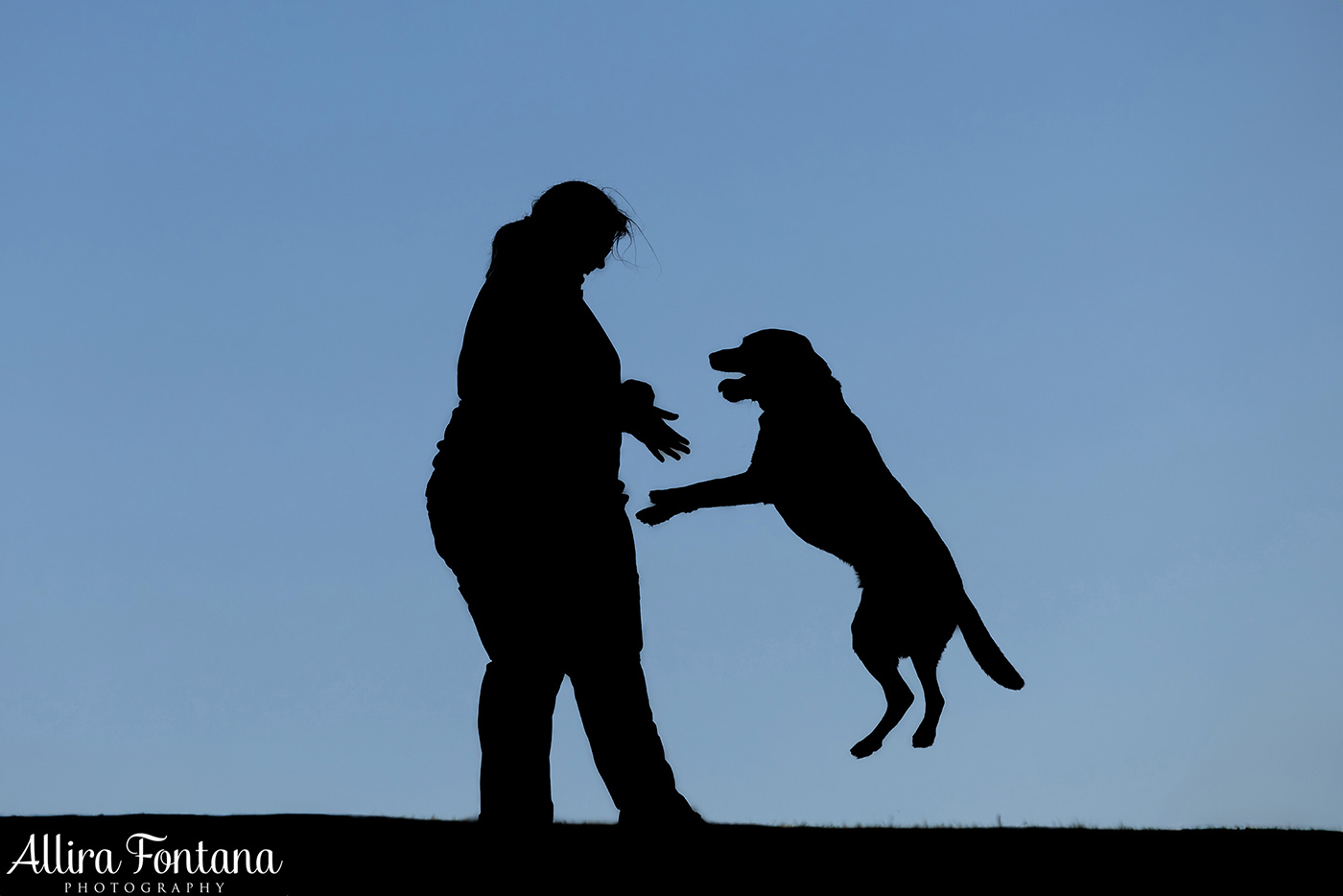 Summer, Wattle and Kai's session at Castle Hill Heritage Park