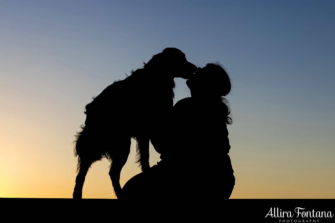 Summer, Wattle and Kai's session at Castle Hill Heritage Park