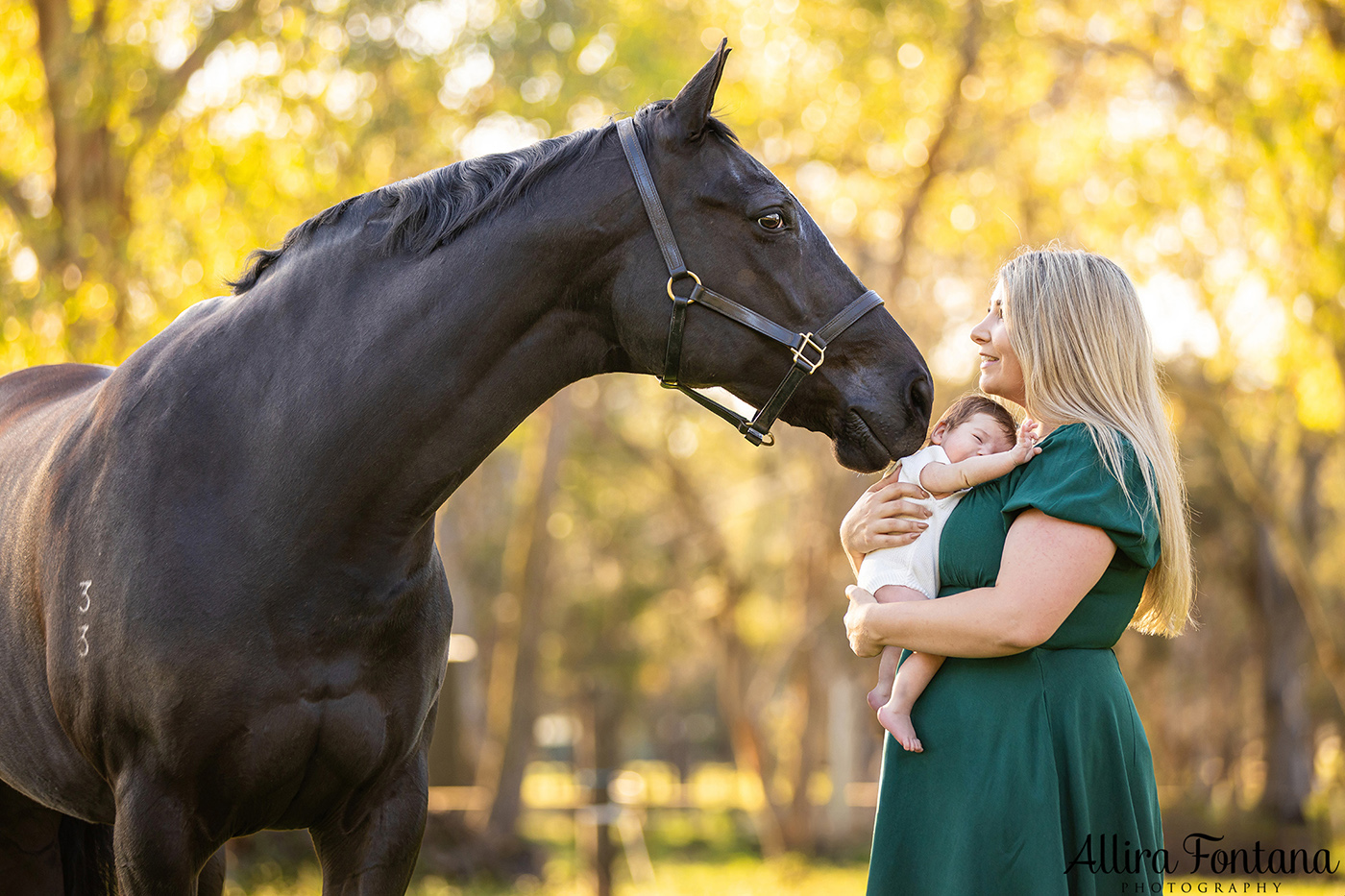Kaitlin's family photo session at home