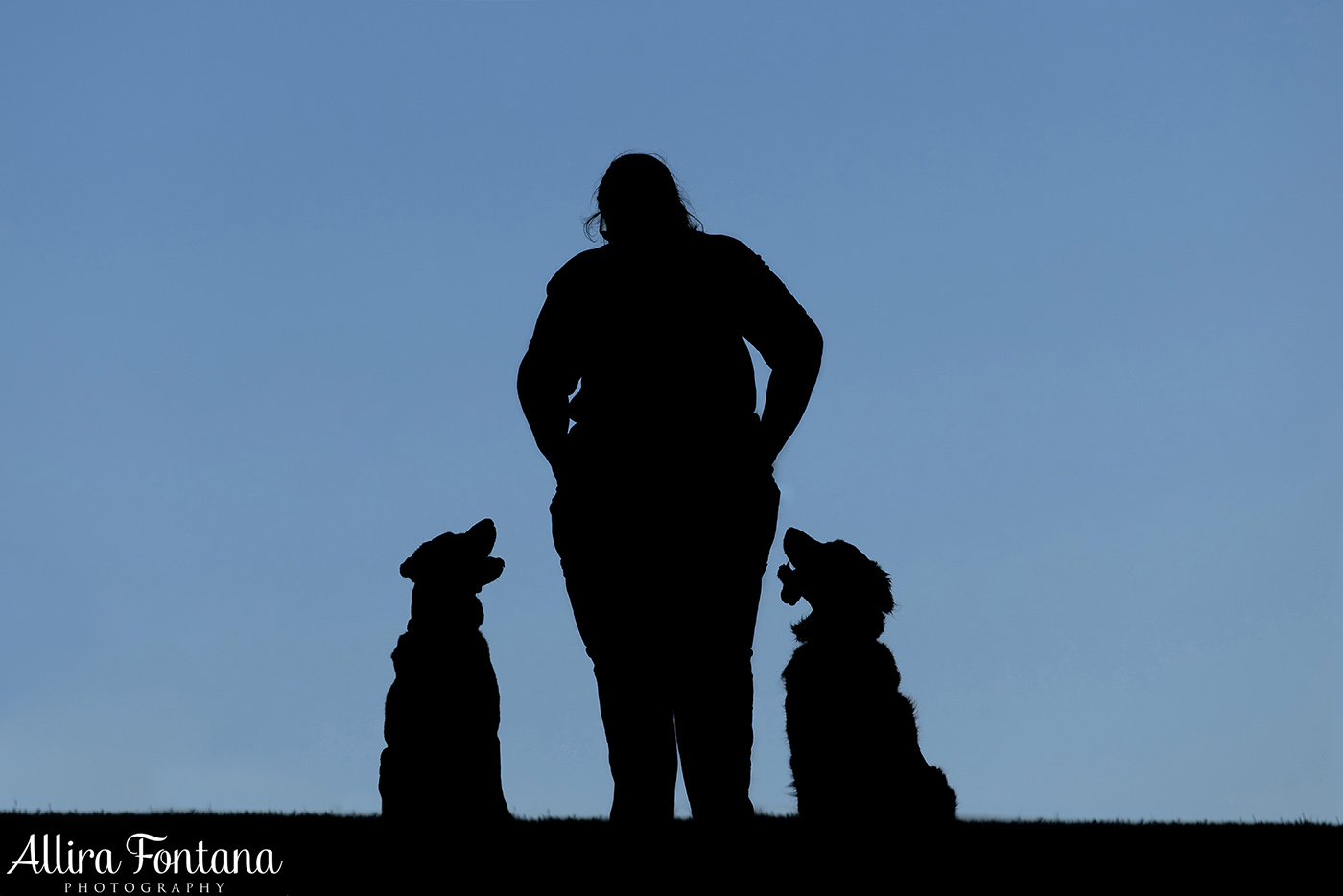 Summer, Wattle and Kai's session at Castle Hill Heritage Park