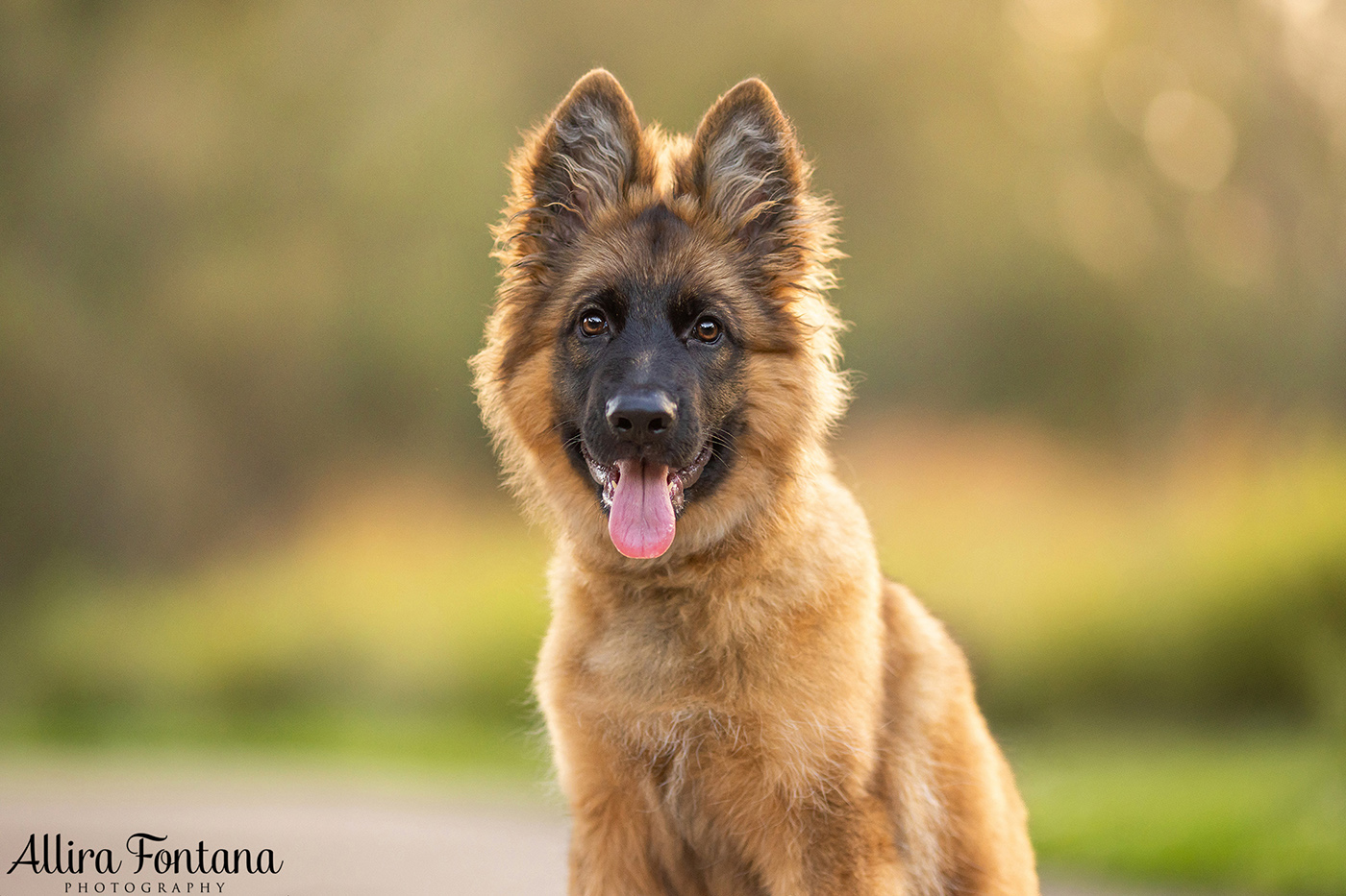 Winnie's photo session at Lakes Edge Park