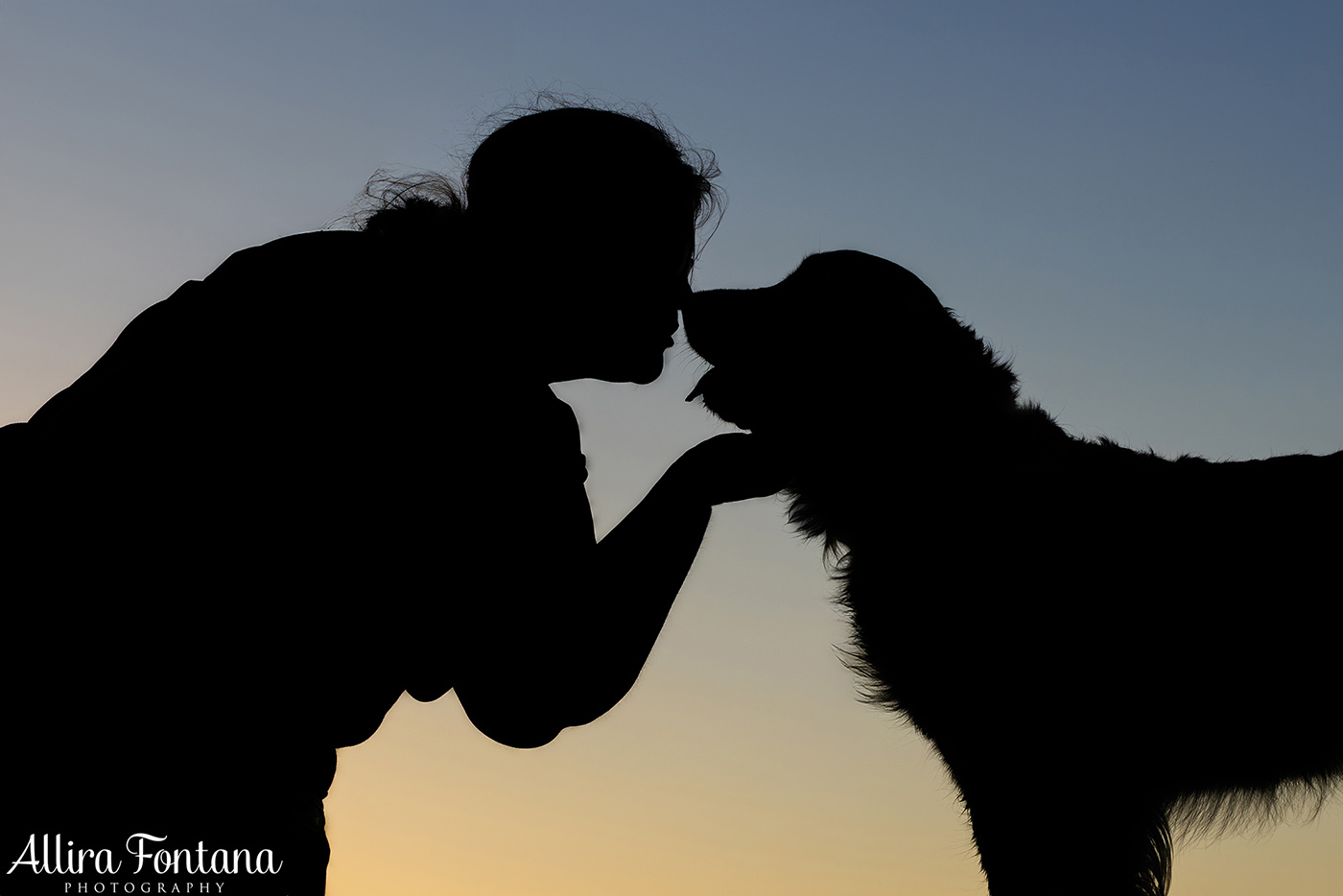 Summer, Wattle and Kai's session at Castle Hill Heritage Park