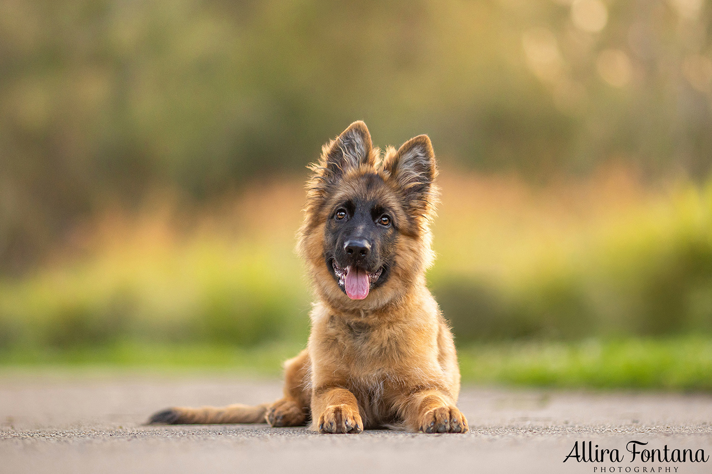 Winnie's photo session at Lakes Edge Park