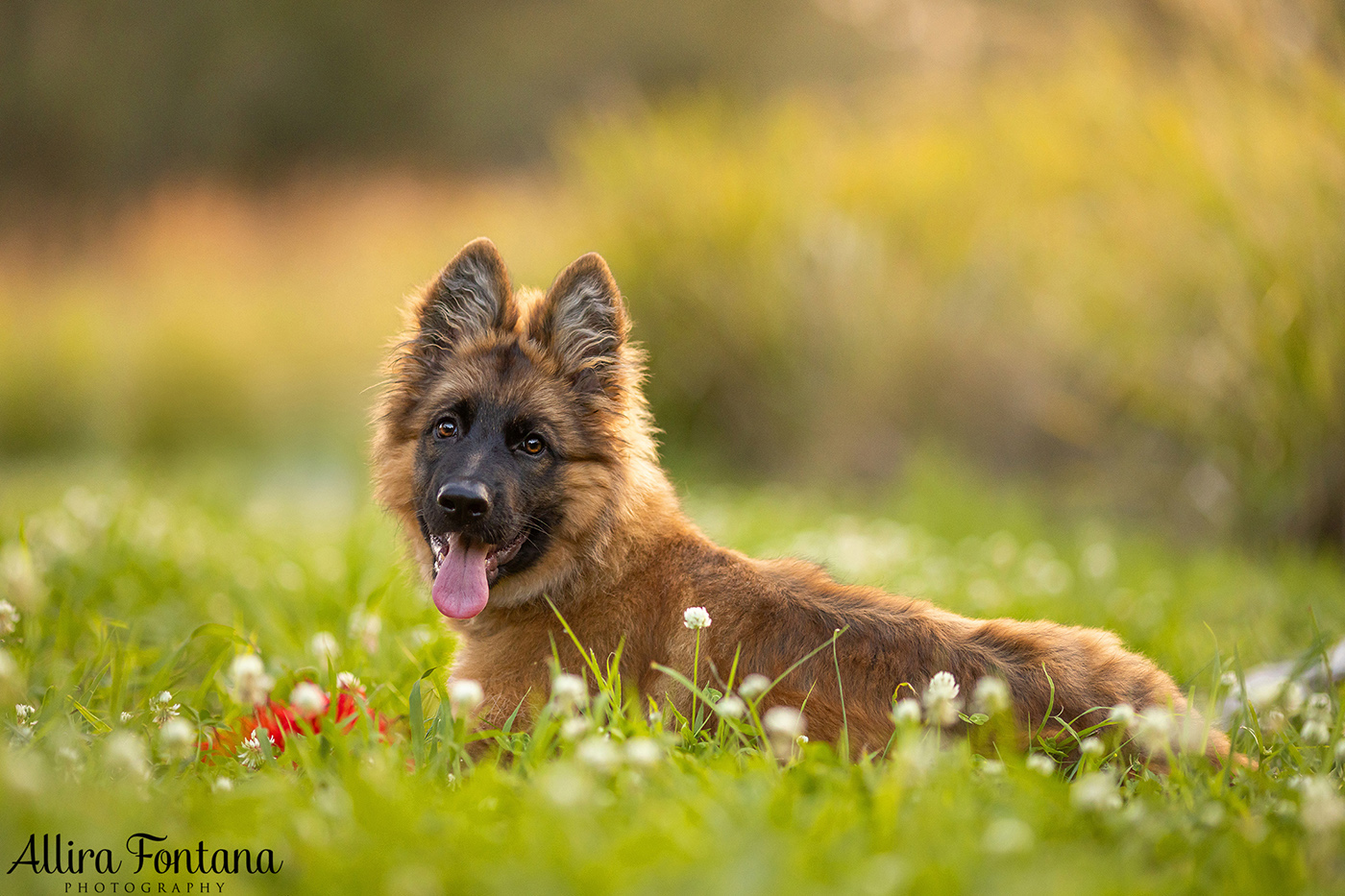 Winnie's photo session at Lakes Edge Park