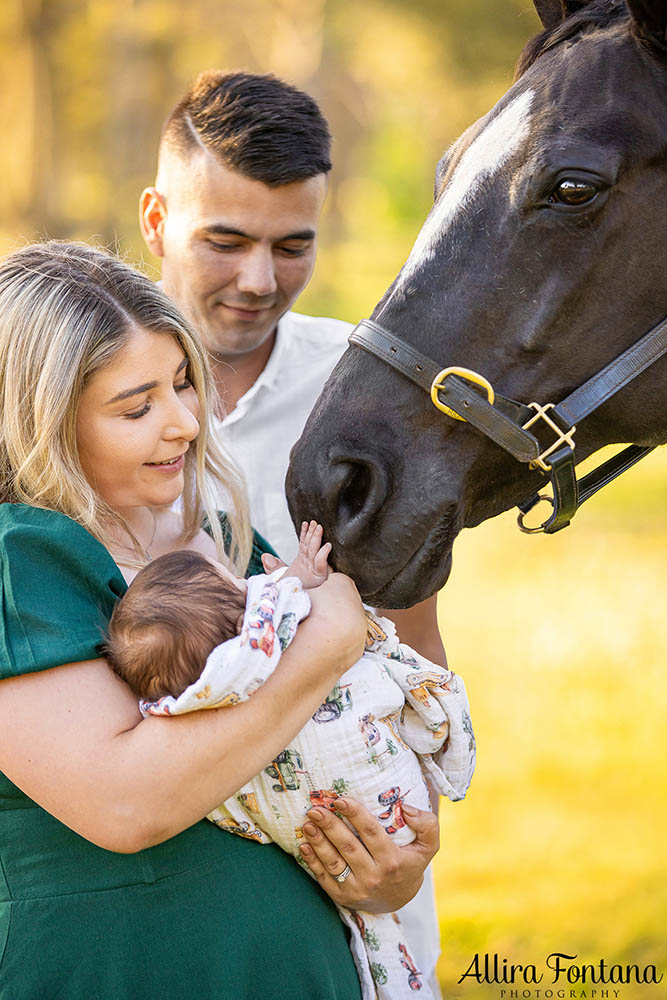 Kaitlin's family photo session at home