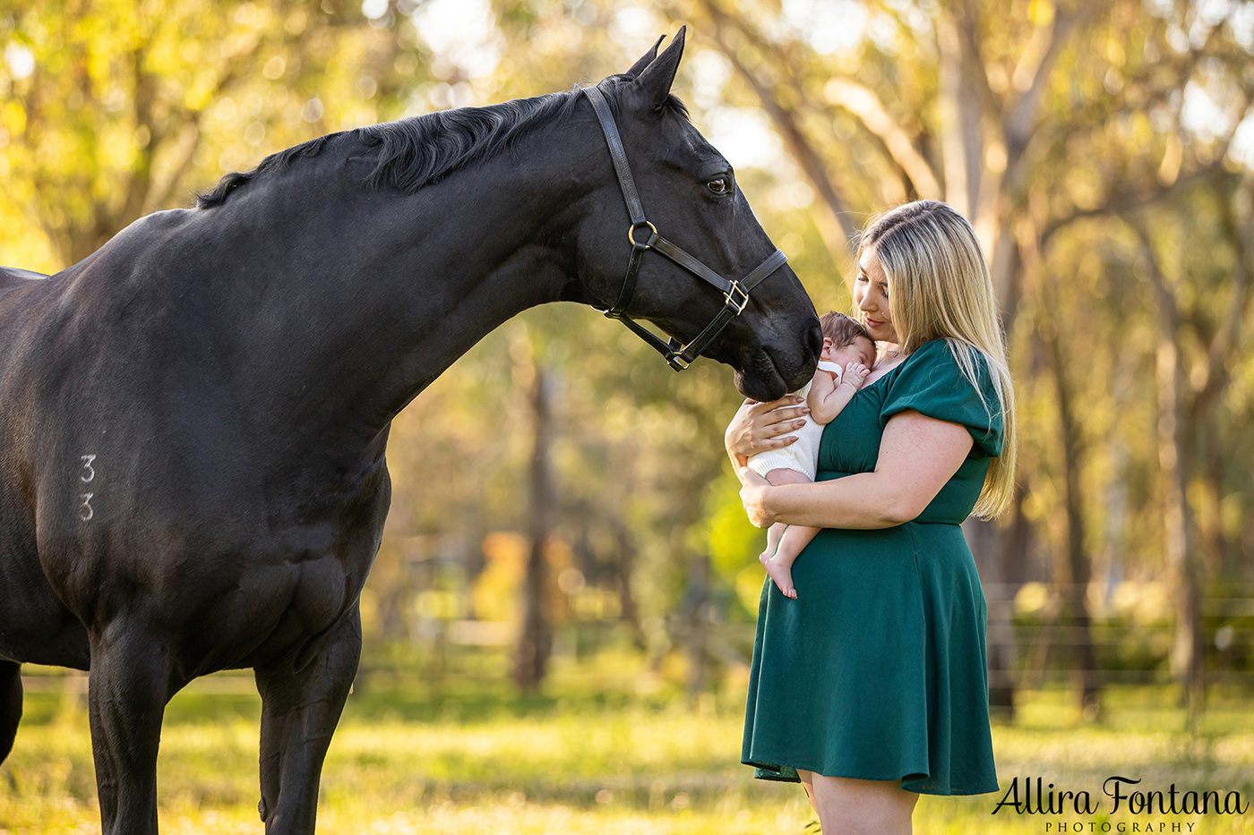 Kaitlin's family photo session at home