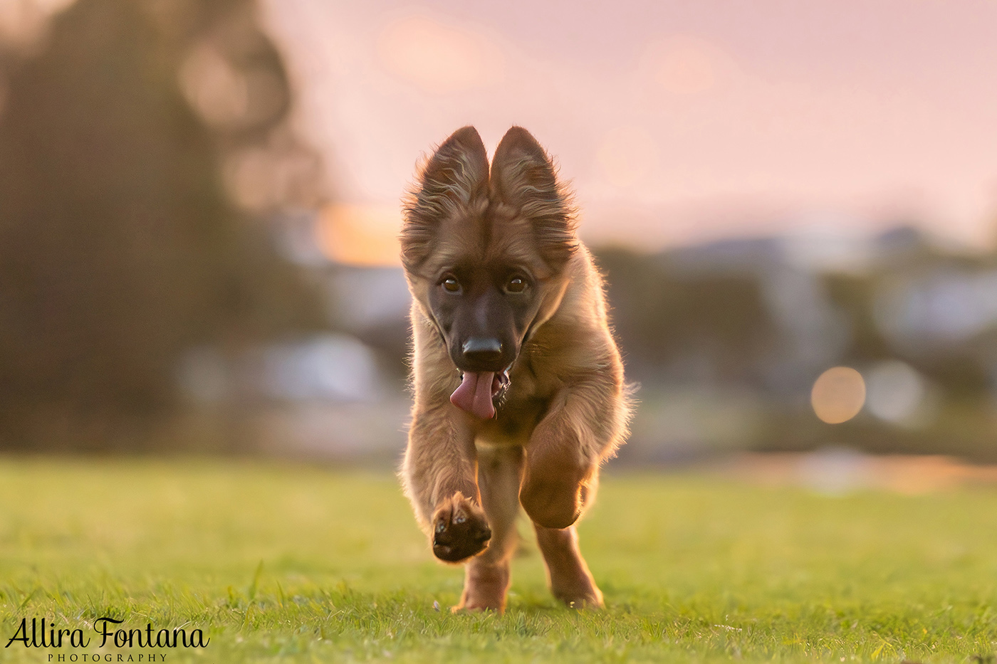 Winnie's photo session at Lakes Edge Park