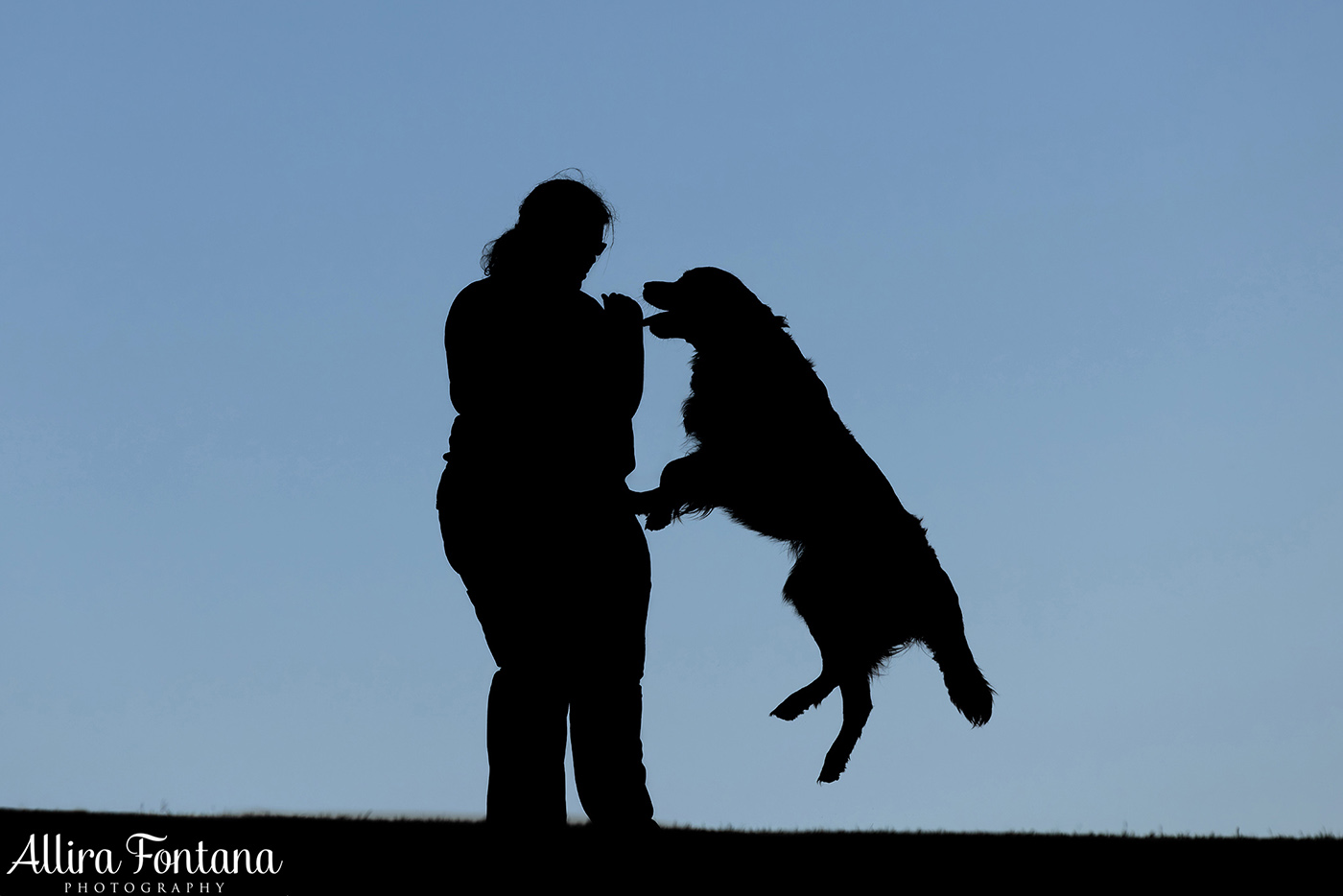 Summer, Wattle and Kai's session at Castle Hill Heritage Park