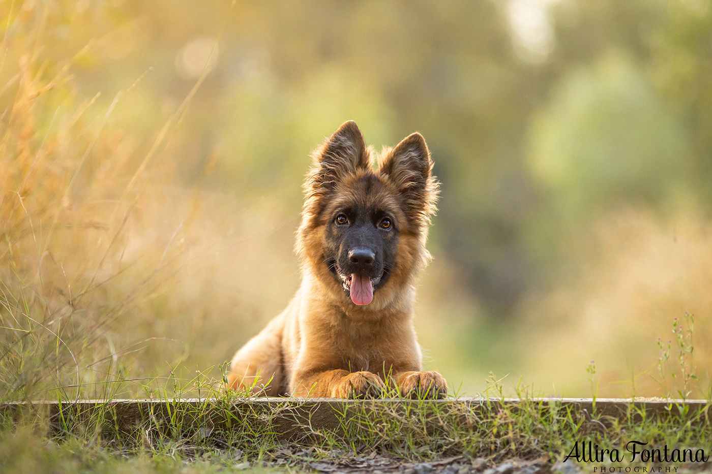 Winnie's photo session at Lakes Edge Park