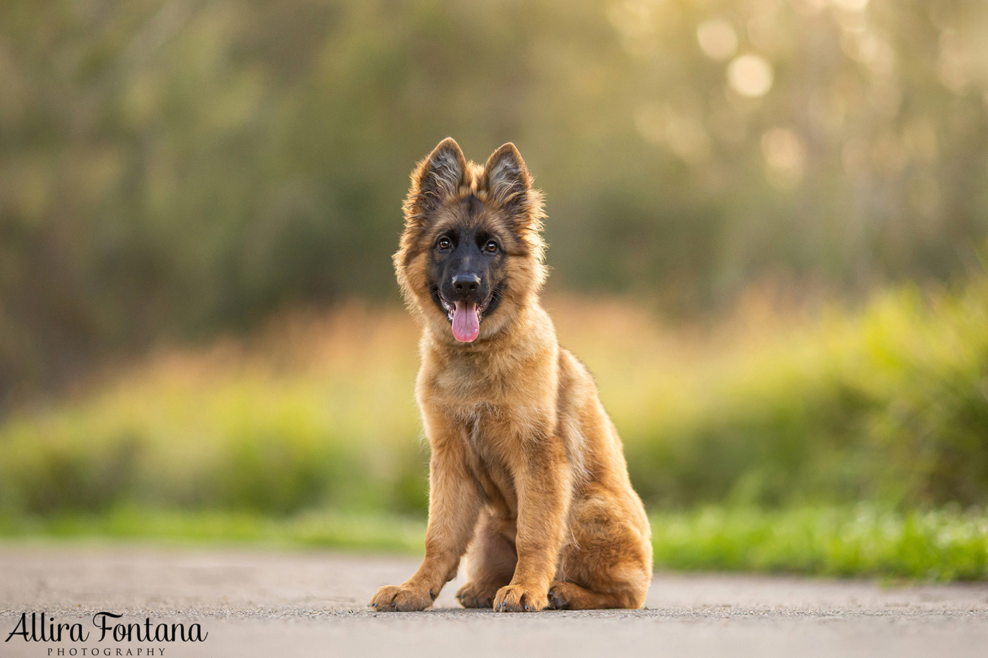 Winnie's photo session at Lakes Edge Park
