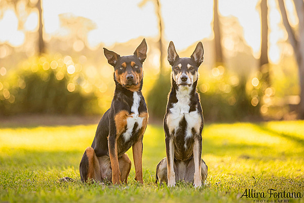 Janina, Ruby and Alfie's photo session at Macquarie Park