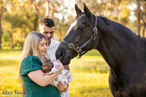 Kaitlin's family photo session at home