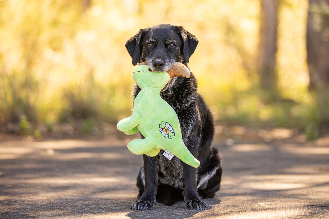 Product images with Stylish Hound