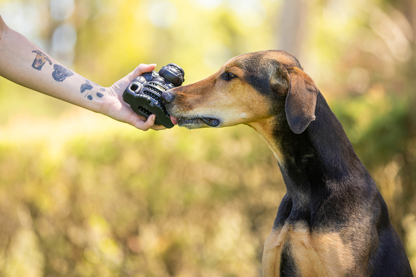 Product images with Stylish Hound