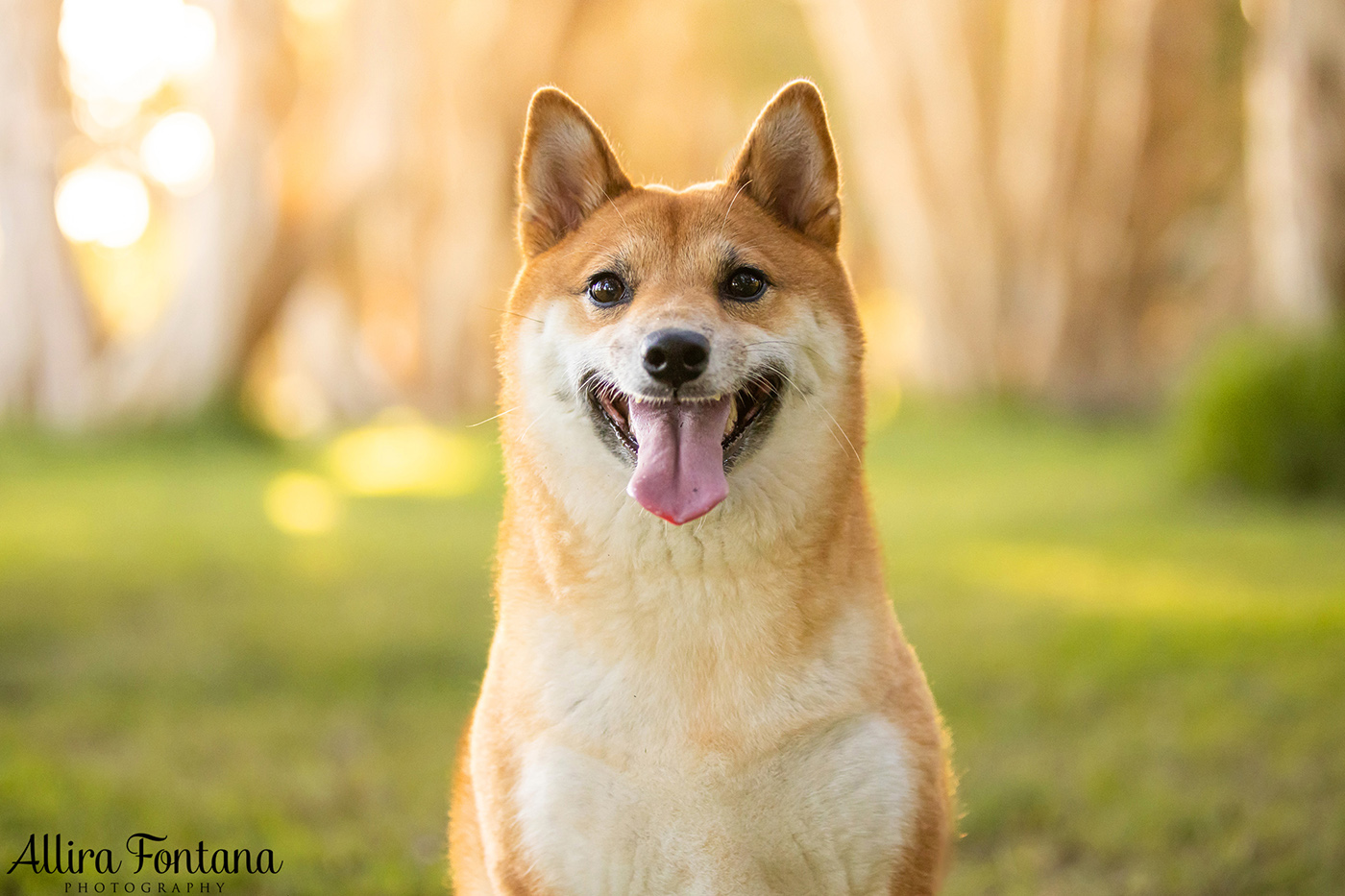 Peach's photo session at Centennial Park