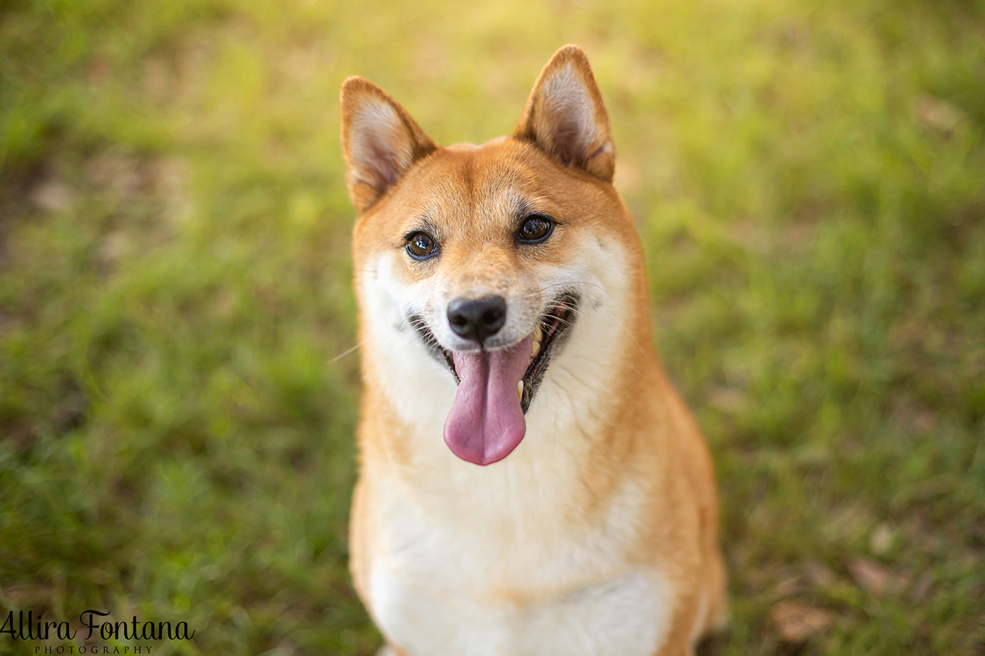 Peach's photo session at Centennial Park