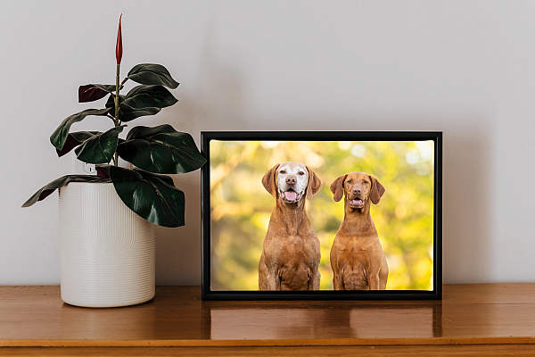 Black boxed framed Robin and Sally.jpg