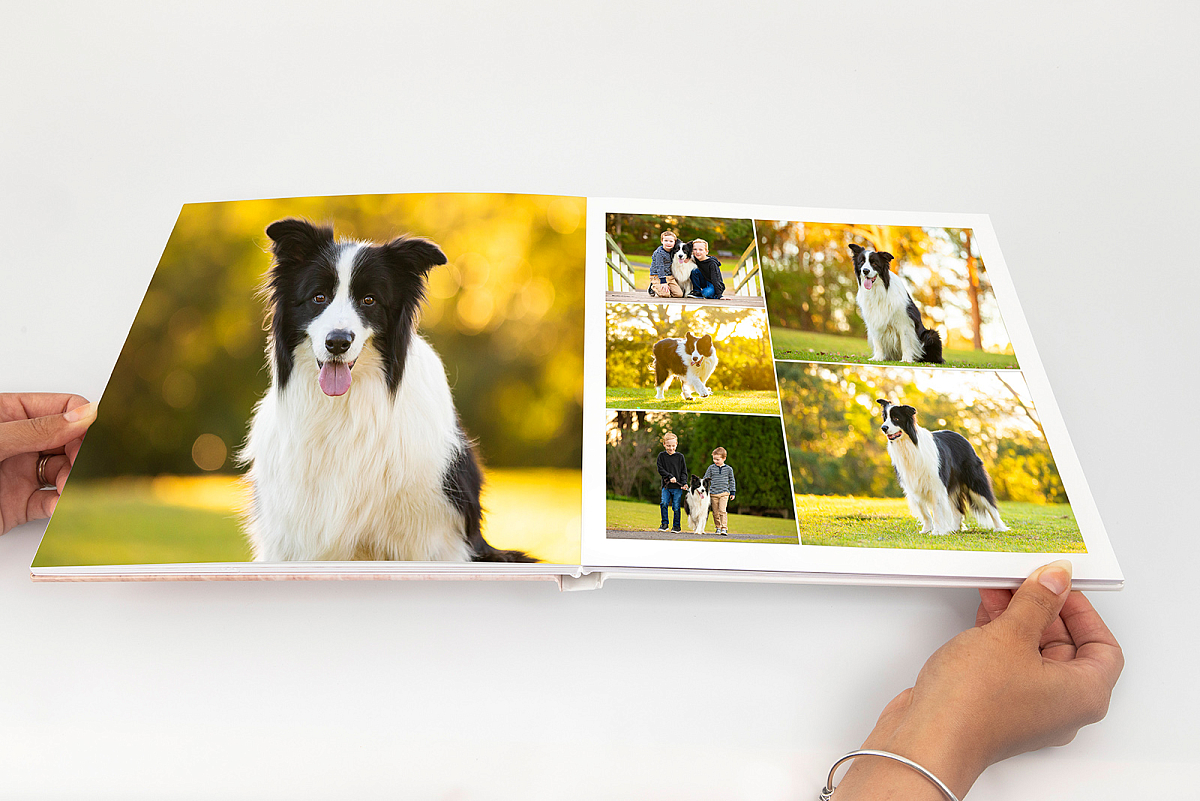 Album Spread Collage 1_SO.jpg